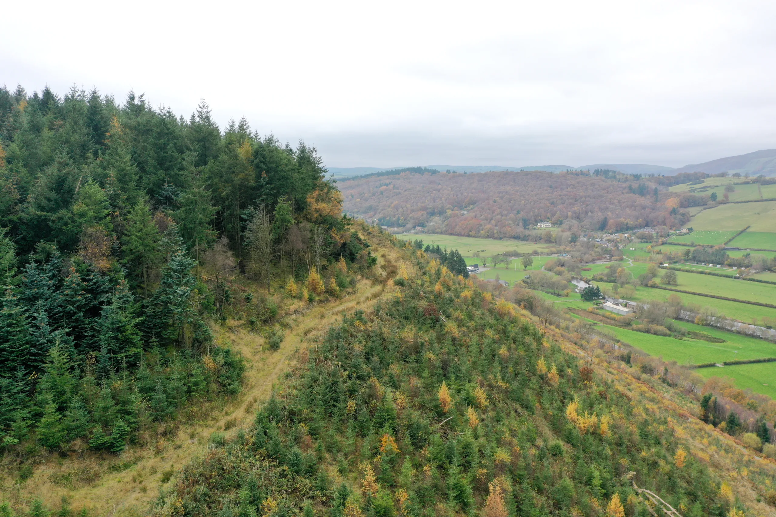 Landscape image of forestry